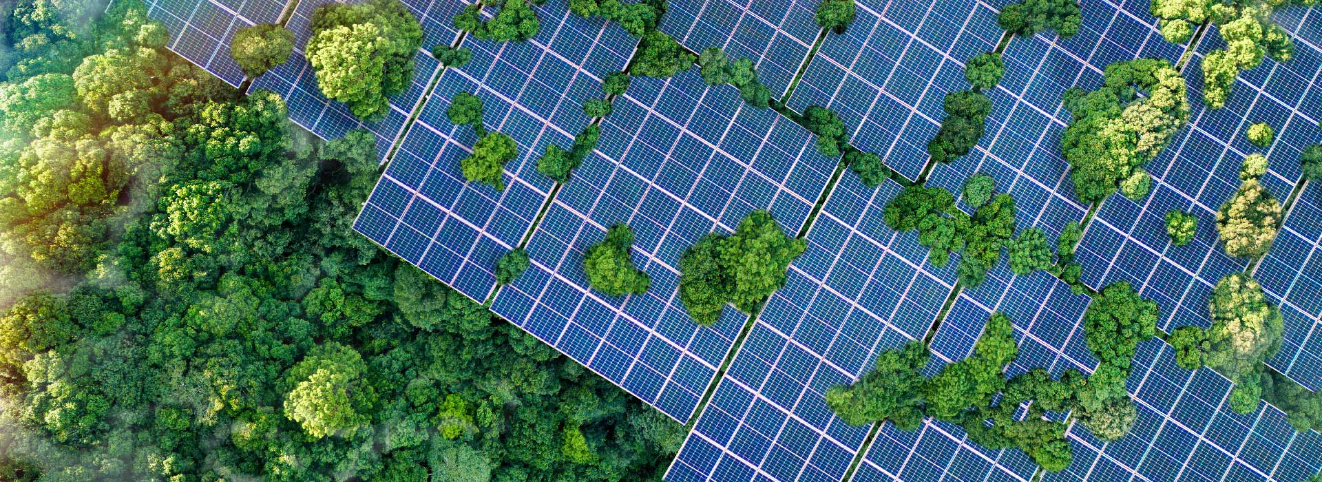 Bouling Chemical Co., Limited